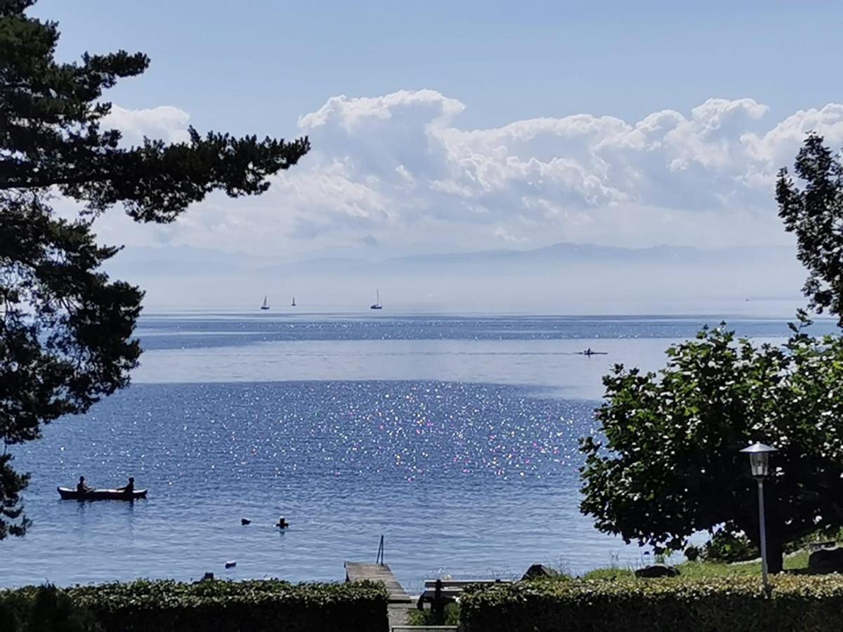 Gaestehaus Zum Landesteg Immenstaad am Bodensee Buitenkant foto