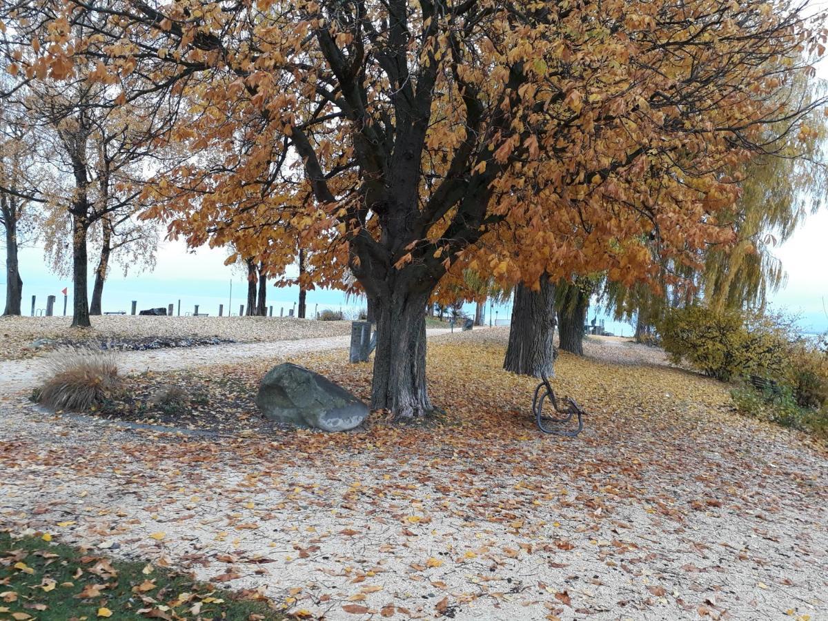 Gaestehaus Zum Landesteg Immenstaad am Bodensee Buitenkant foto