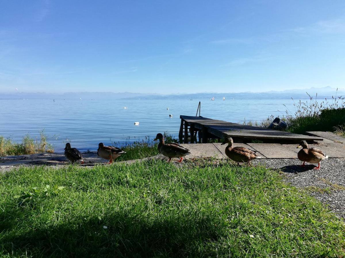 Gaestehaus Zum Landesteg Immenstaad am Bodensee Buitenkant foto