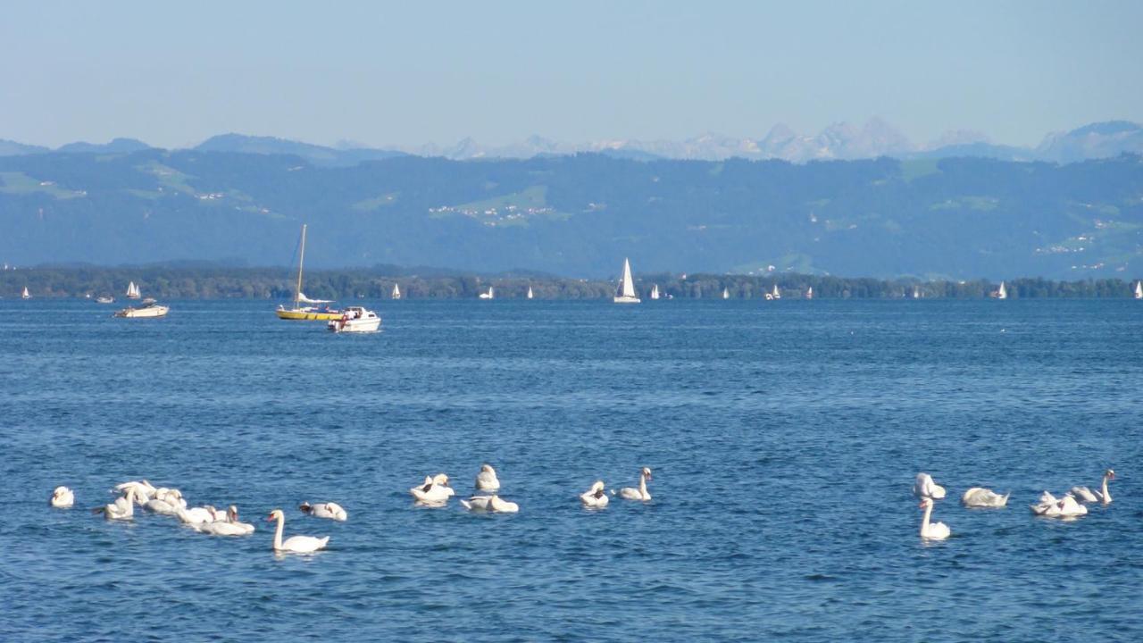 Gaestehaus Zum Landesteg Immenstaad am Bodensee Buitenkant foto
